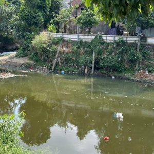 Bantaran Sungai Bengawan Solo