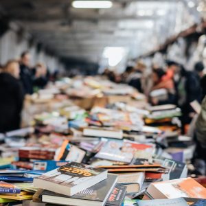 freestocks-YTUZcmmf1eU-unsplash